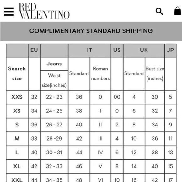 Red Valentino Ivory  tulle dress and silver studs size 38 US 4 - Picture 16 of 16